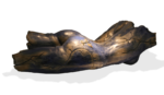 Terre de Feu II