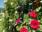 ppremier-emoi-jardin